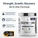 steelfit-creatine-hmb-powder-5g-creapure-2.jpg