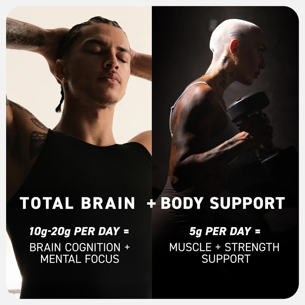 kaged-creatine-monohydrate-micronized-po-6.jpg