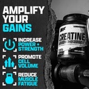 nutrex-research-micronized-creatine-mono-5.jpg