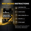 forestleaf-micronized-creatine-monohydra-5.jpg