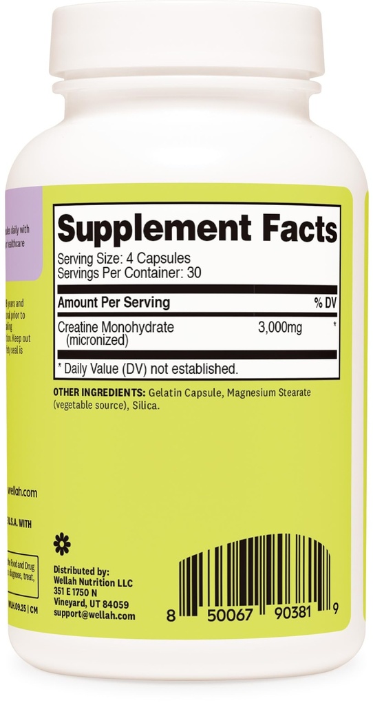 wellah-creatine-monohydrate-capsules-300-4.jpg