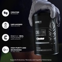 birdman-micronized-creatine-monohydrate--3.jpg