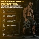 creatine-monohydrate-gummies-for-men-wom-5.jpg