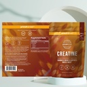 primal-creatine-powder-primal-multi-coll-4.jpg