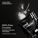 b-fit-b-vegan-protein-just-creatine-pea--5.jpg