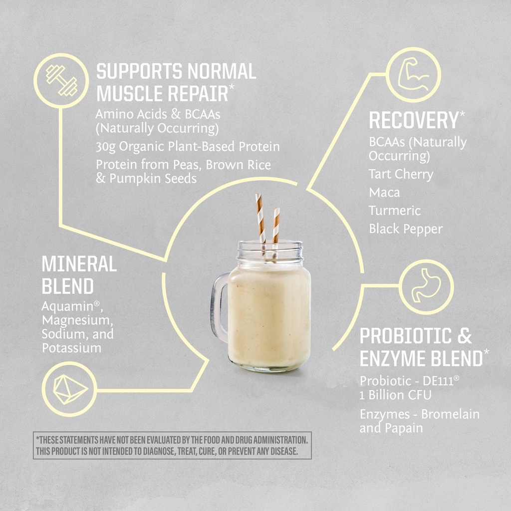 sunwarrior-active-organic-protein-powder-4.jpg
