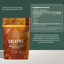 primal-creatine-powder-chocolate-protein-2.jpg