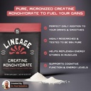 lineage-provisions-micronized-creatine-m-3.jpg