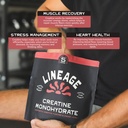 lineage-provisions-micronized-creatine-m-6.jpg