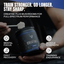 vedge-nutrition-creatine-vegan-plant-bas-3.jpg