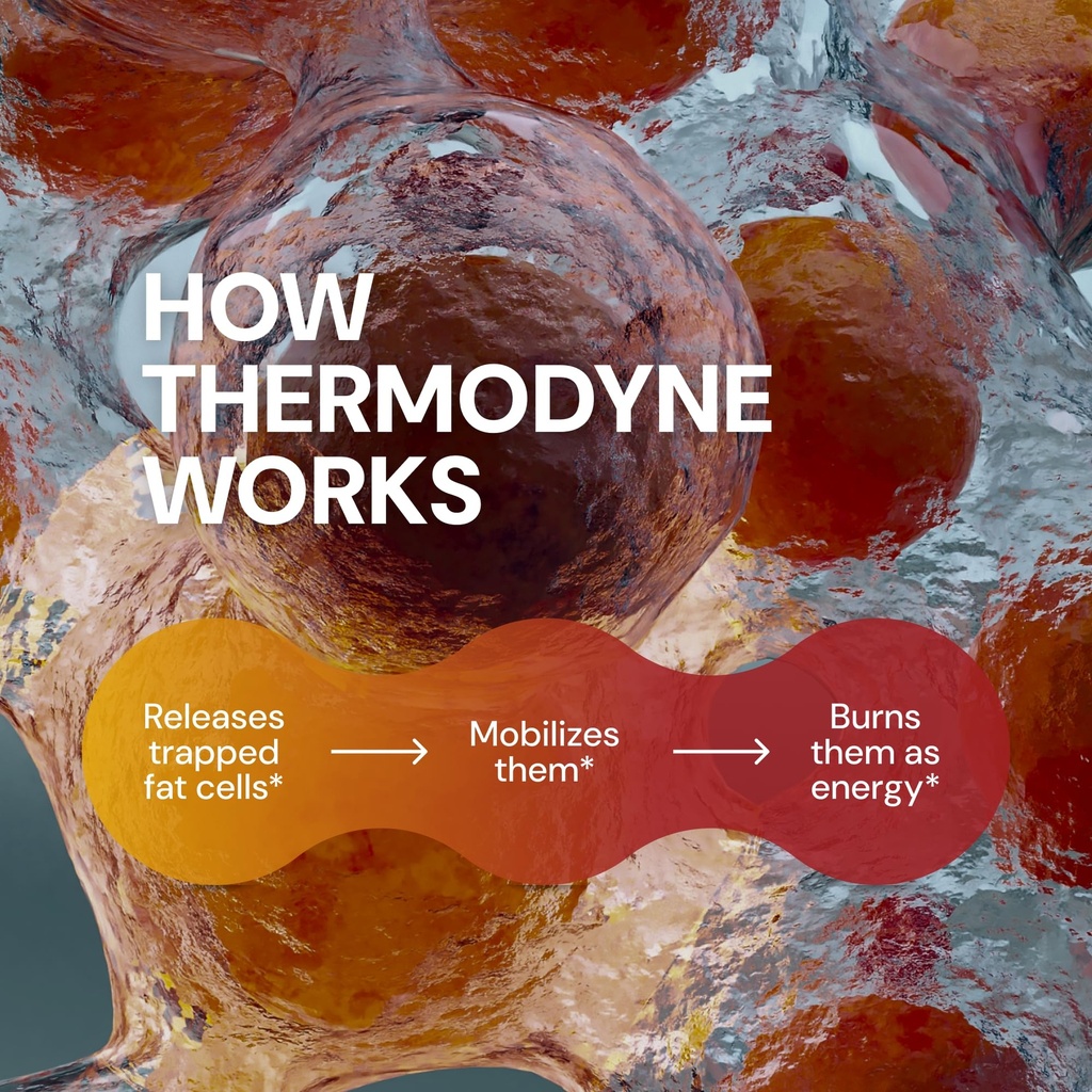 novex-biotech-thermodyne-thermogenic-fat-4.jpg