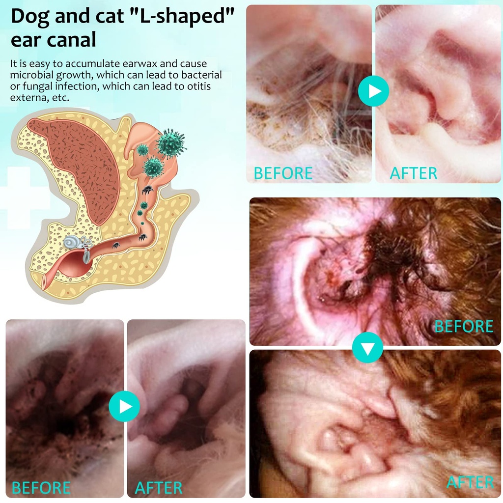 ear-mite-treatment-for-dogs-dog-ear-infe-3.jpg