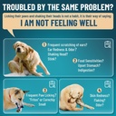 vicsom-natural-dog-yeast-infection-treat-2.jpg
