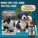 vicsom-natural-dog-yeast-infection-treat-5.jpg