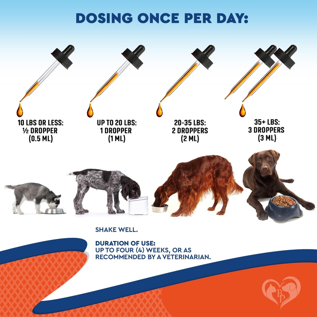 natural-cats-dogs-yeast-infection-anti-i-6.jpg