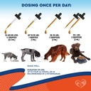 natural-cats-dogs-yeast-infection-anti-i-6.jpg