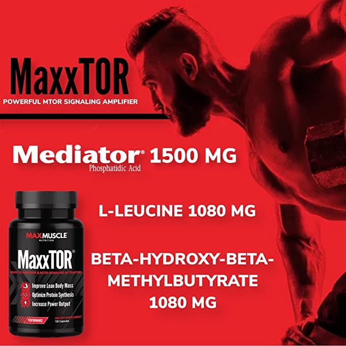 maxxtor-muscle-amplifier-phosphatidic-ac-5.jpg