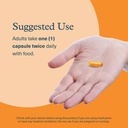 youtheory-daily-fat-burner-supports-body-6.jpg