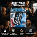 bpi-sports-cla-carnitine-powder-non-stim-3.jpg