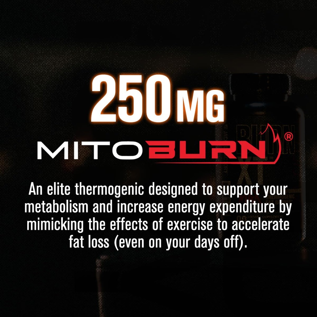jacked-factory-24-7-fat-burner-stack-bur-6.jpg