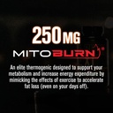 jacked-factory-24-7-fat-burner-stack-bur-6.jpg