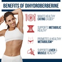 dr-westin-childs-dihydroberberine-supple-2.jpg