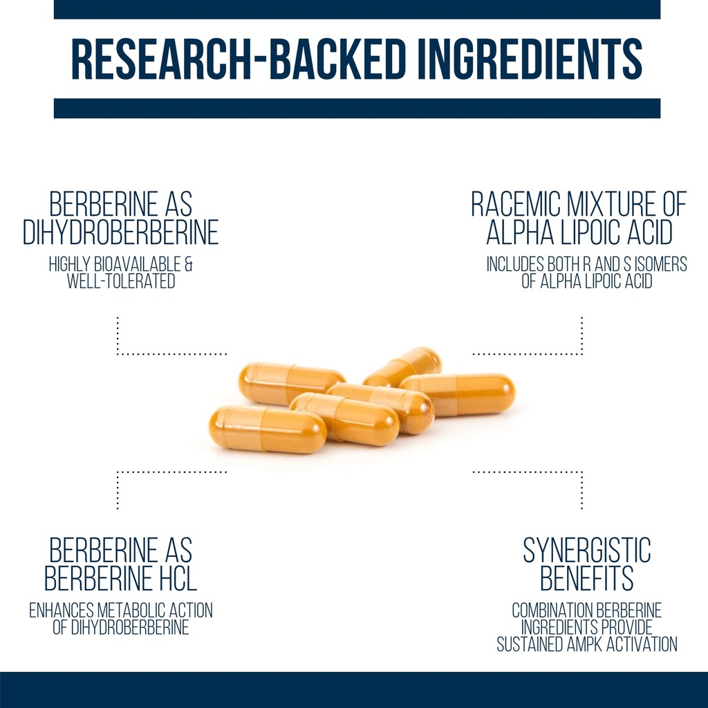 dr-westin-childs-dihydroberberine-supple-4.jpg
