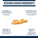 dr-westin-childs-dihydroberberine-supple-4.jpg