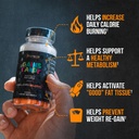 alpha-lion-gains-candy-pills-that-suppor-2.jpg
