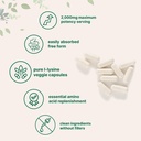 pure-l-lysine-2-000mg-300-veggie-capsule-3.jpg