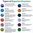 wholesome-wellness-digestive-enzymes-100-5.jpg