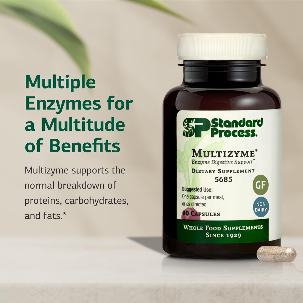standard-process-multizyme-pancreatic-en-3.jpg