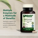 standard-process-multizyme-pancreatic-en-3.jpg