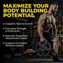 extreme-anabolic-testosterone-booster-dh-6.jpg