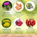 liver-support-supplement-milk-thistle-ca-5.jpg