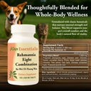 kan-herb-company-rehmannia-eight-combina-3.jpg