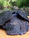 1lb-rehmannia-prepared-shu-di-huang-radi-2.jpg