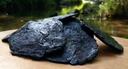 1lb-rehmannia-prepared-shu-di-huang-radi-5.jpg