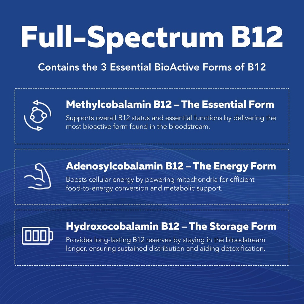 bioactive-vitamin-b-complex-blood-stream-6.jpg