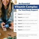 bioactive-vitamin-b-complex-blood-stream-4.jpg