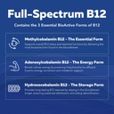 bioactive-vitamin-b-complex-blood-stream-6.jpg