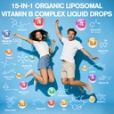 15-in-1-liposomal-vitamin-b-complex-pro--2.jpg
