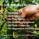 paradise-herbs-earth-s-blend-b-complex-m-4.jpg