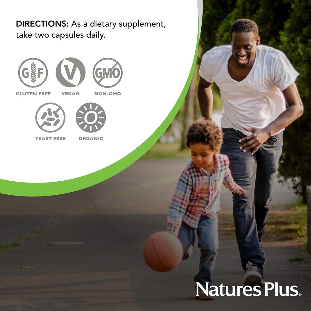 naturesplus-source-of-life-garden-b-comp-5.jpg