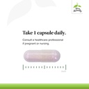terry-naturally-bioactive-vitamin-b-aid--4.jpg