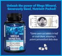 potent-garden-2-pack-mega-mineral-supple-6.jpg