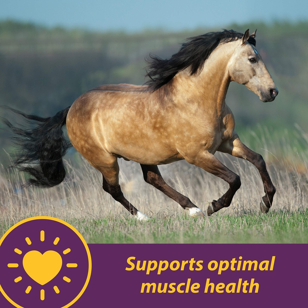 farnam-horse-health-vita-e-selenium-crum-2.jpg