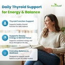 thyroid-support-for-women-and-men-with-i-3.jpg