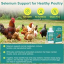 liquid-selenium-for-poultry-supports-mus-5.jpg