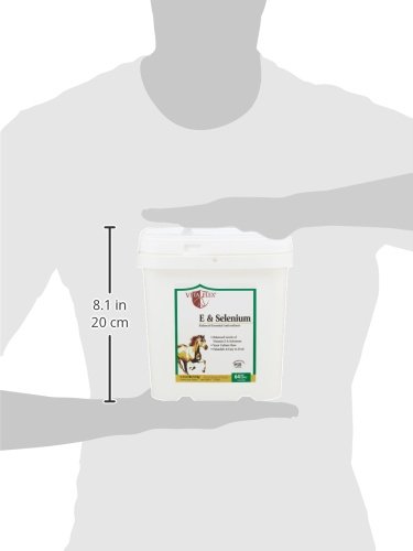 vita-flex-pro-e-selenium-supplement-vita-3.jpg
